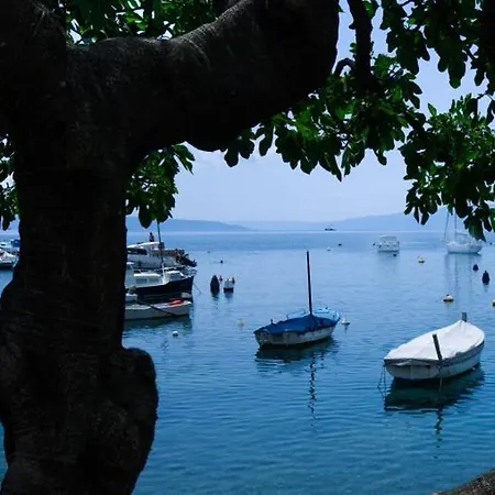 Relax With Parking *