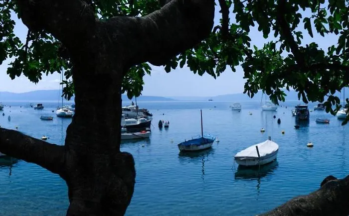 Relax With Parking *